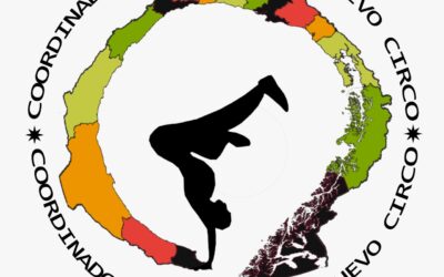 COORDINADORA TERRITORIAL DE NUEVO CIRCO